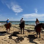 Gunnamatta Trail Rides