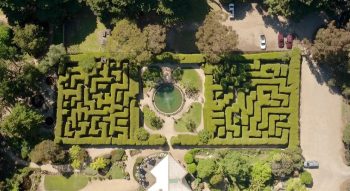 Ashcombe Maze & Lavender Gardens