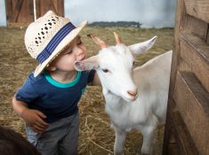 Bundoora Park Farm