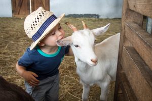 Bundoora Park Farm