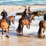 Gunnamatta Trail Rides