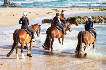 Gunnamatta Trail Rides