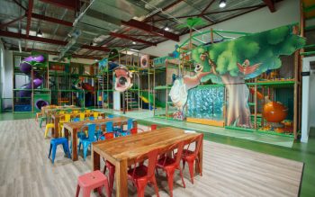 Jungle Buddies playcentre