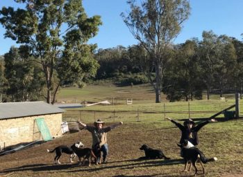 calmsley city farm