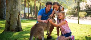 Paradise Country Aussie Farm