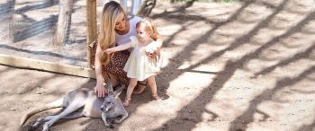 Currumbin Wildlife Sanctuary