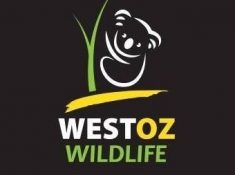 West Oz Wildlife