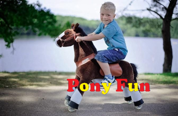 Pony Fun