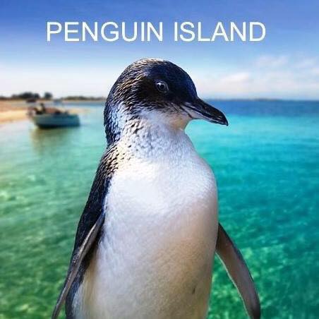 Rockingham Wild Encounters - Penguin Island