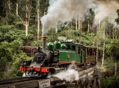 puffing billy discount