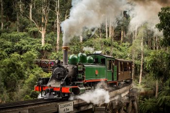 puffing billy discount