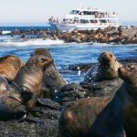 Wildlife Coast Cruises