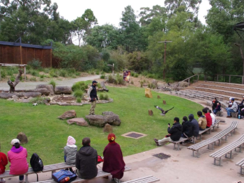 Healesville sanctuary discount