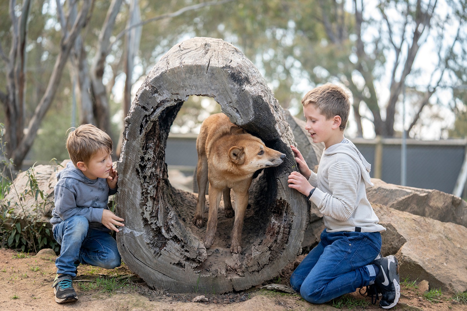 kyabram Fauna Park