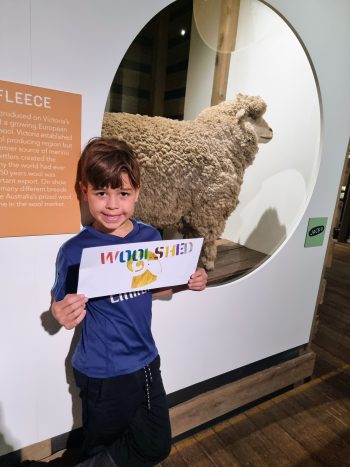 geelong wool museum