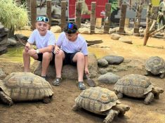 bali zoo discount