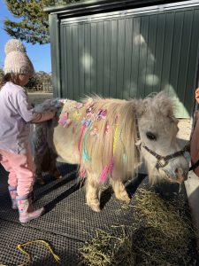 Little Farm Plays