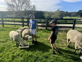 Little Farm Play