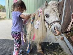 Little Farm Play