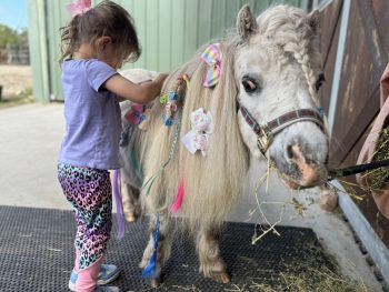 Little Farm Play