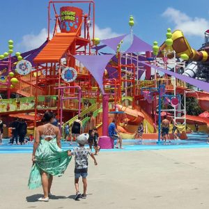 theme parks rides