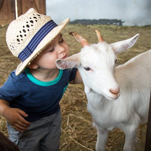 farms zoos