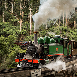 puffing billing train