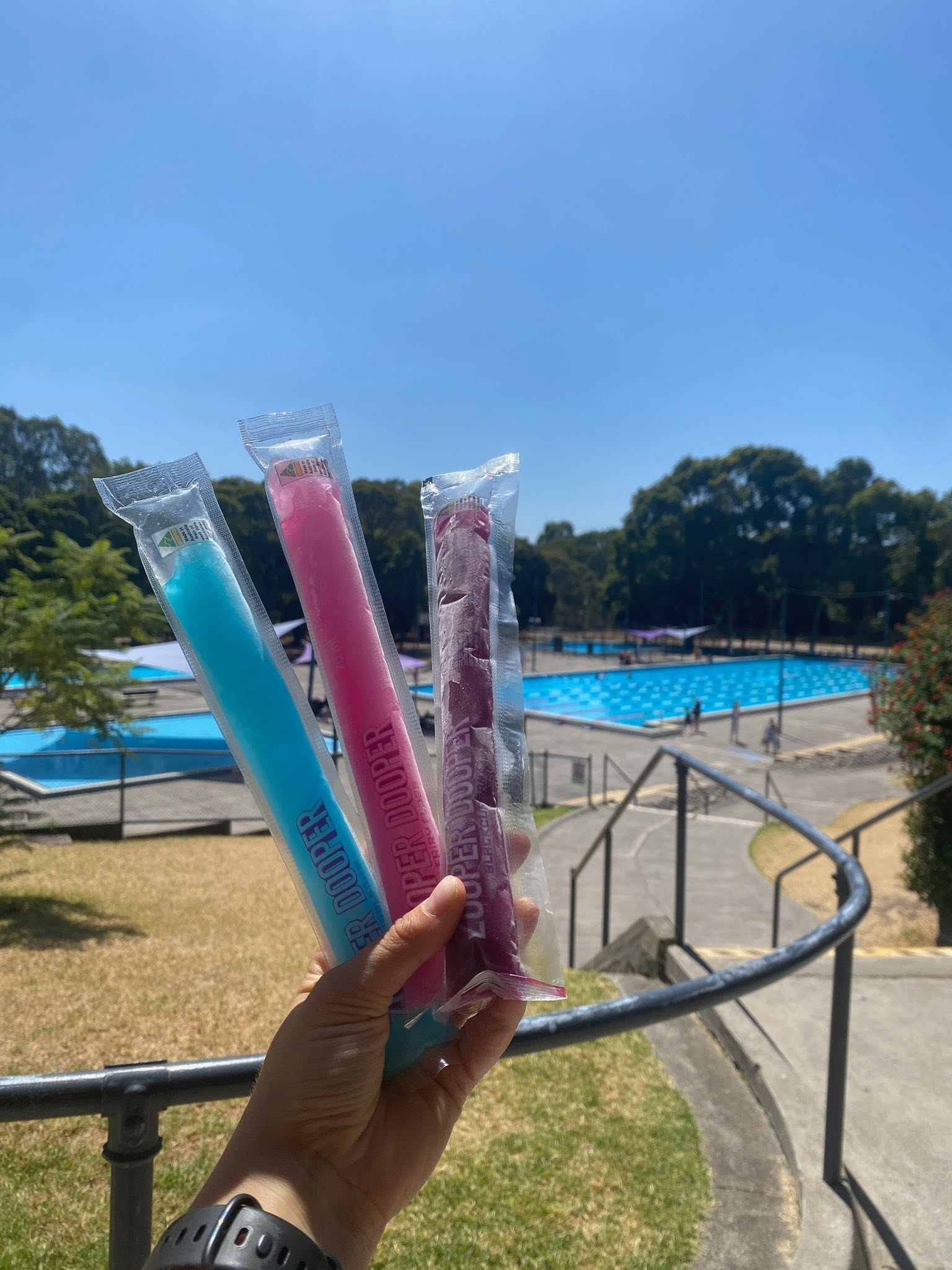 Coburg Olympic Swimming Pool summer