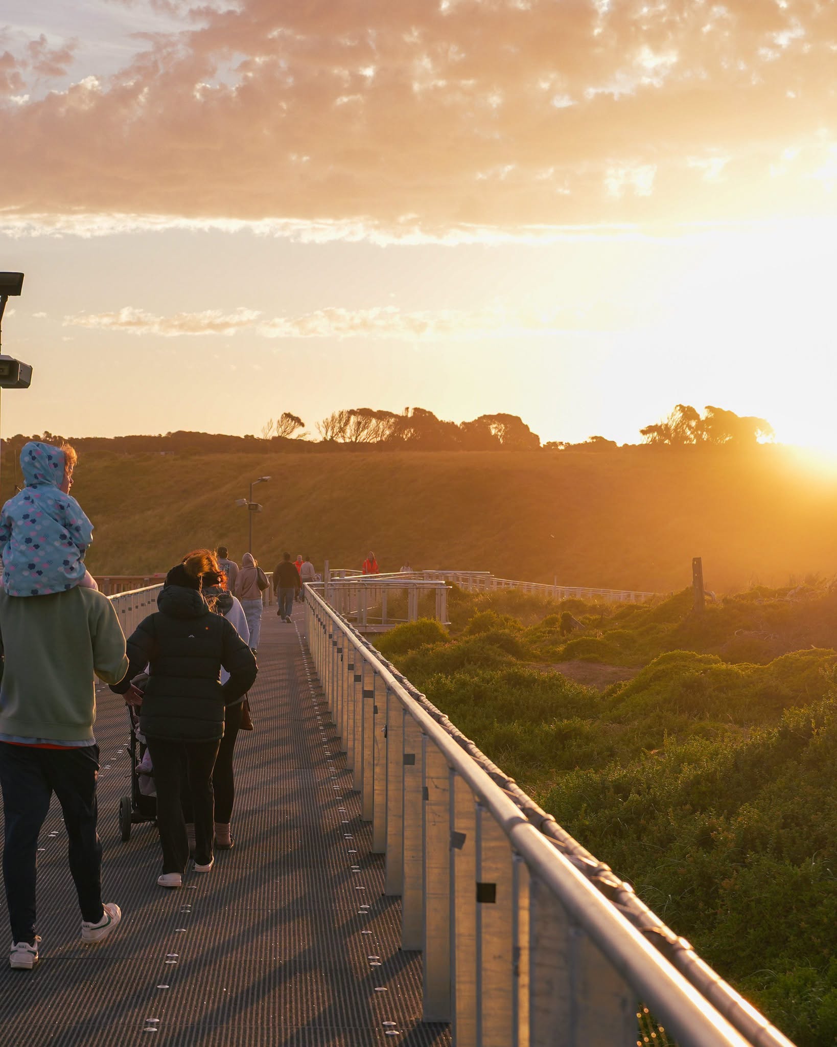 Phillip sland Penguin Parade