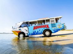aquaduck