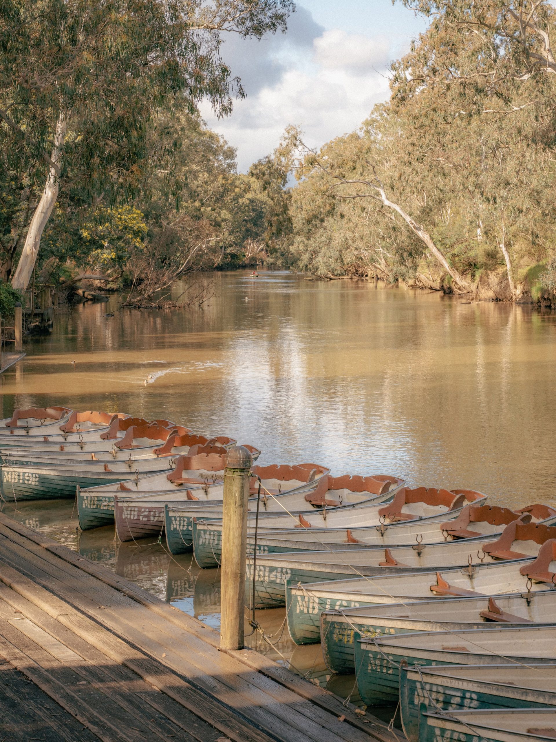 canoe boats