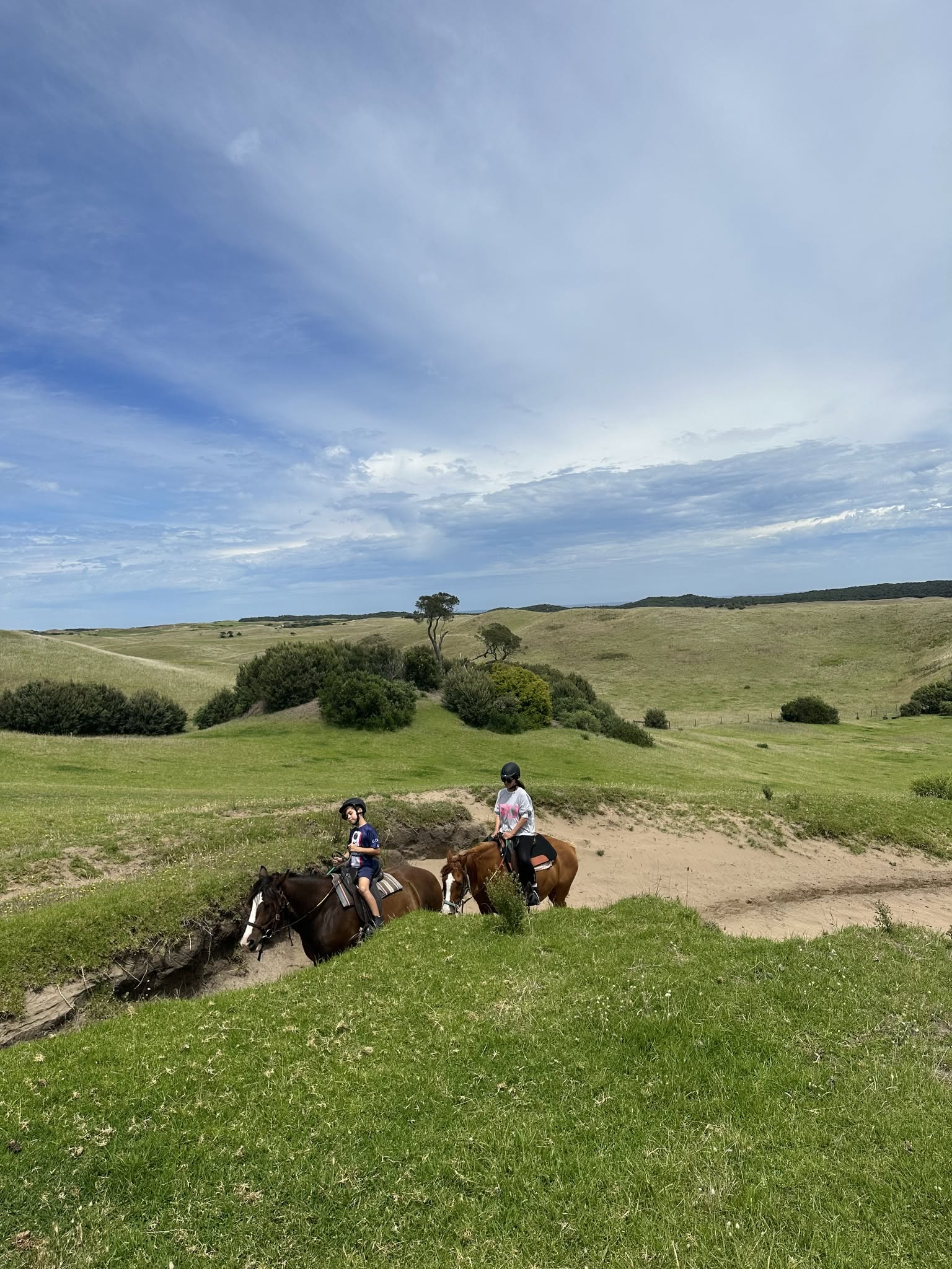 family horse ridig trail