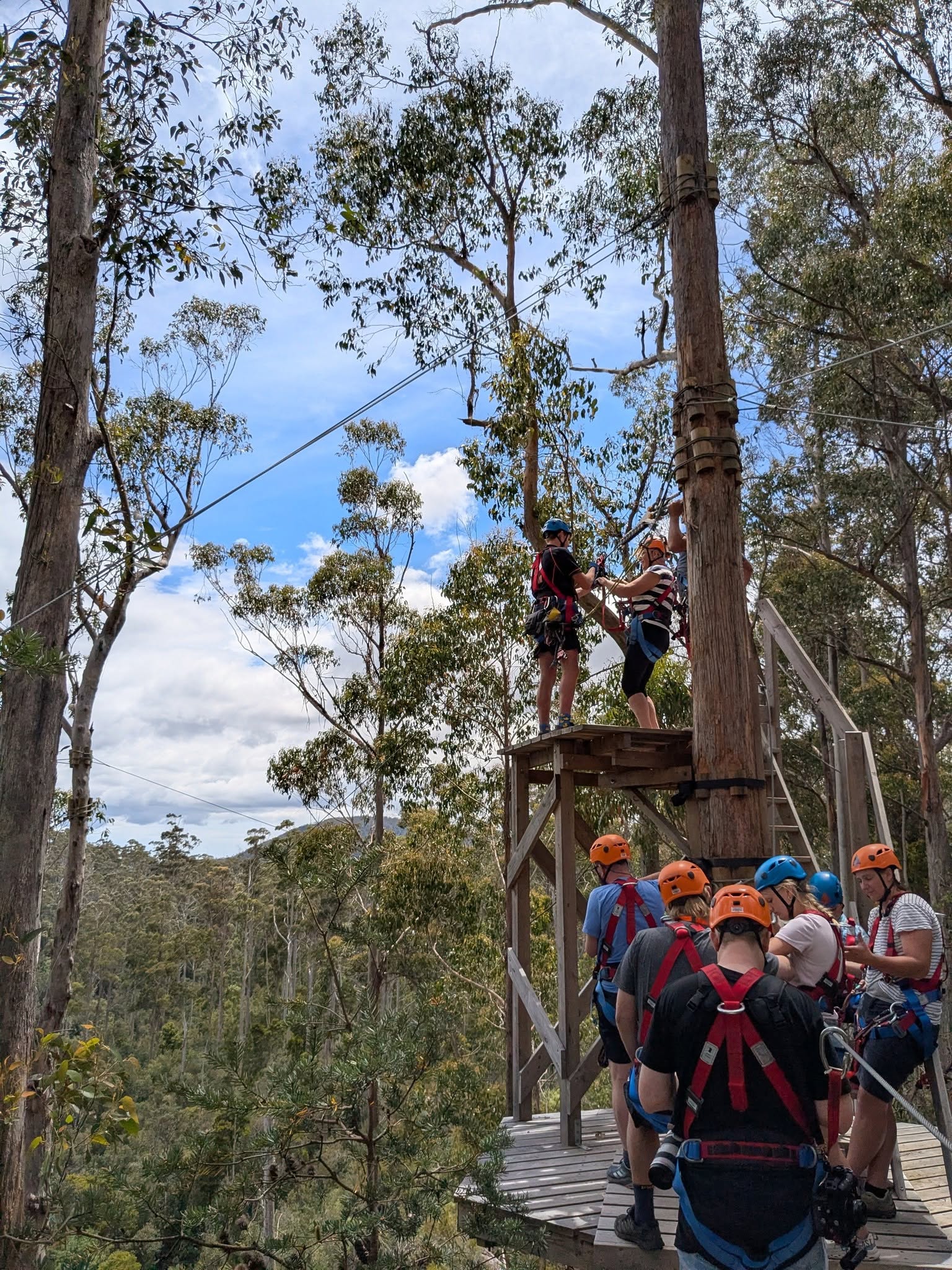 group harnessed for tree surfing