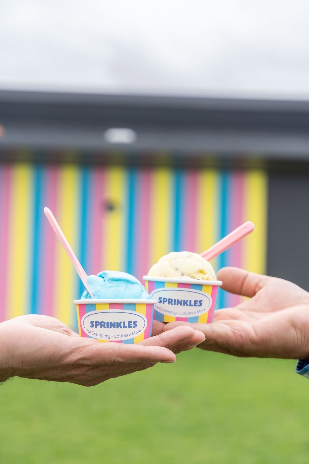 ice cream in a cup