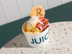 frozen yoghurt cup