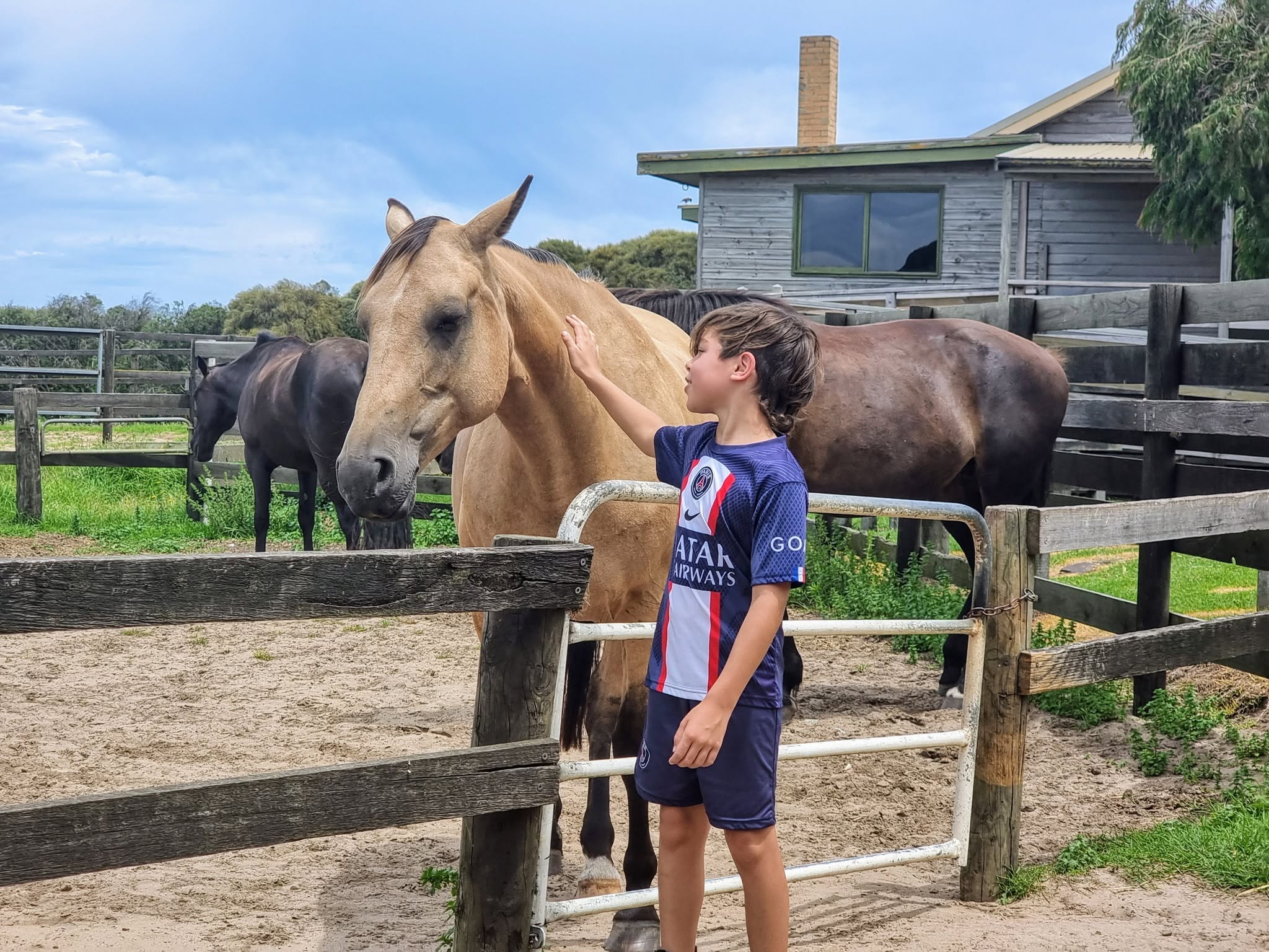 kid patting horse