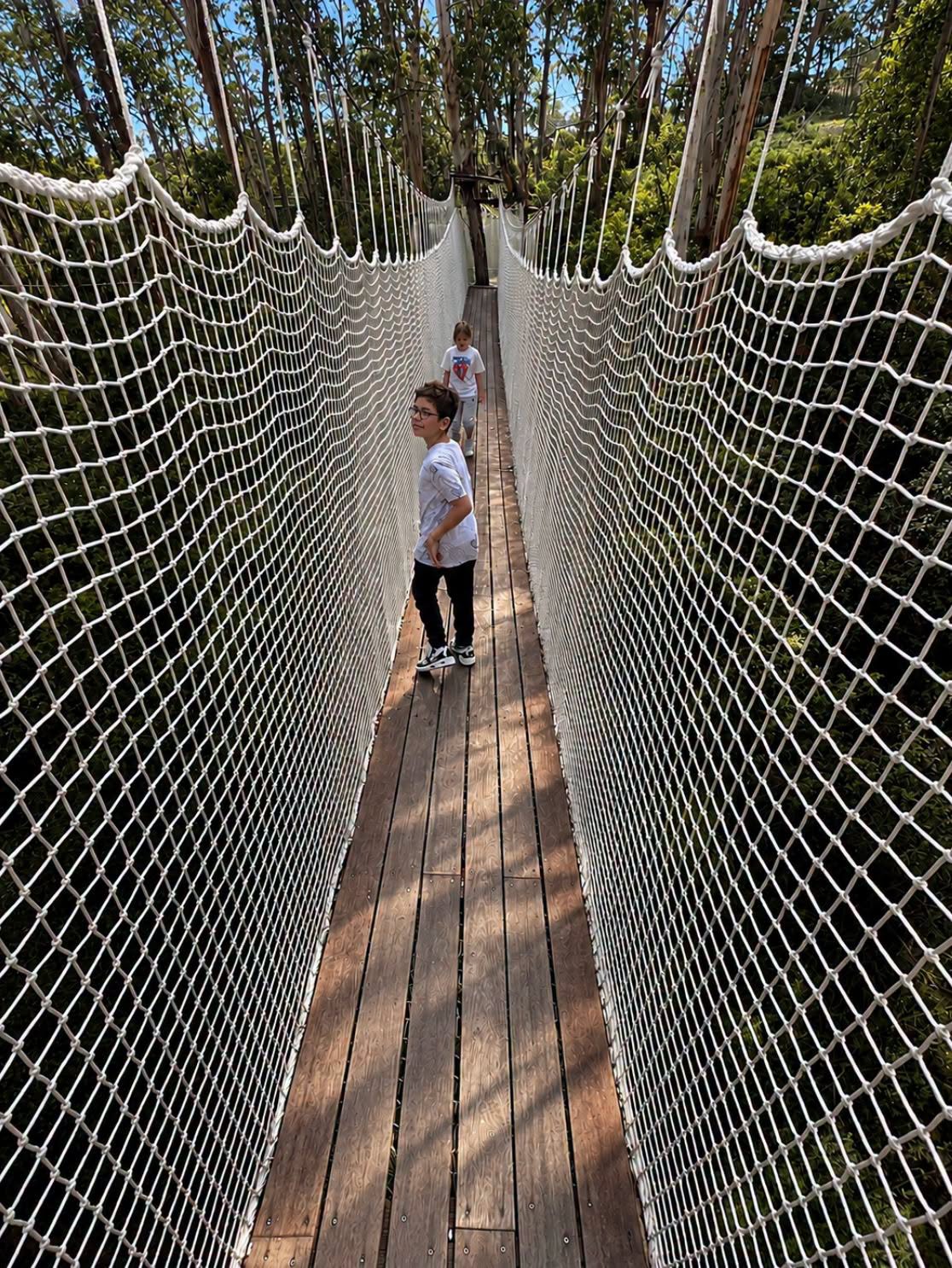 live wire park lorne canopy walk