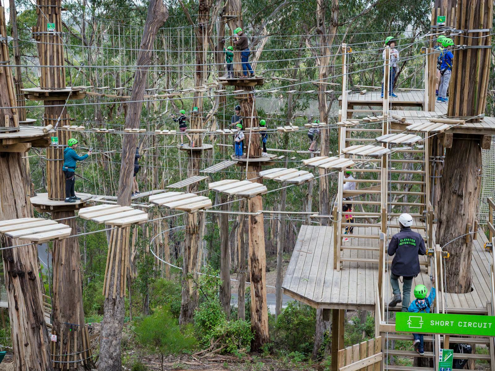 live wire park lorne zip lining