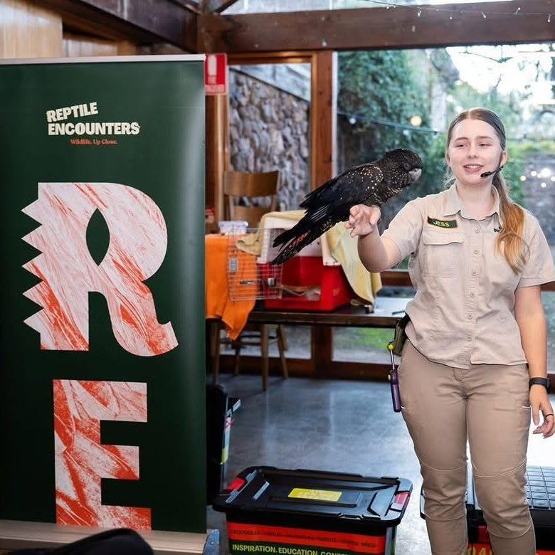repitle encounters bird