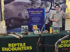 reptile encounters