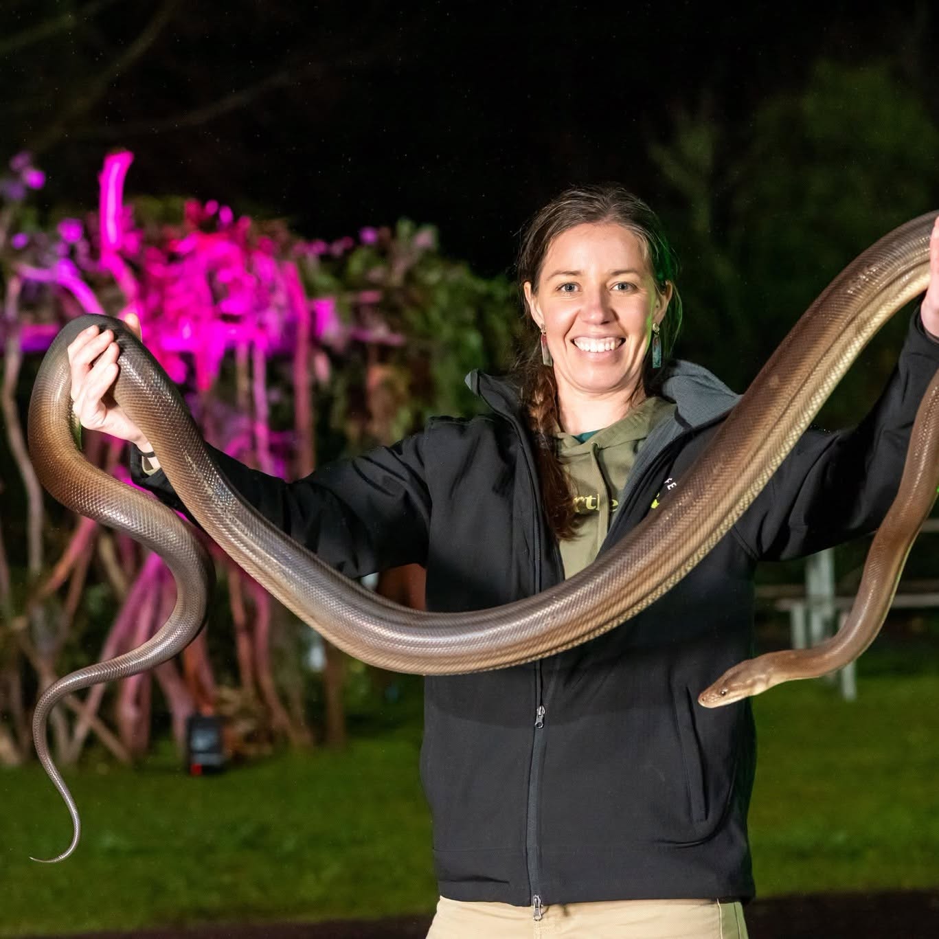 reptile encounters snake