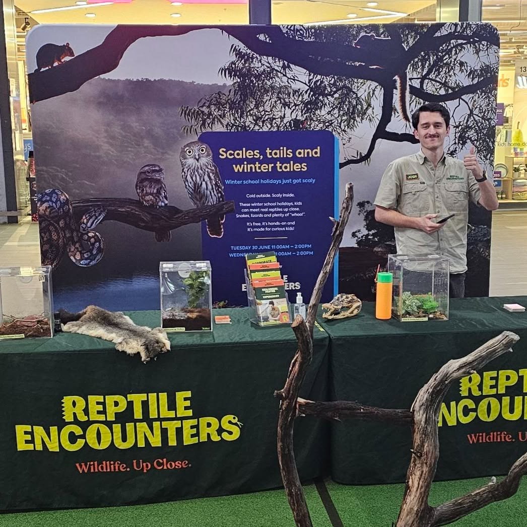 reptile encounters