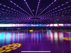 roller one burwood disco