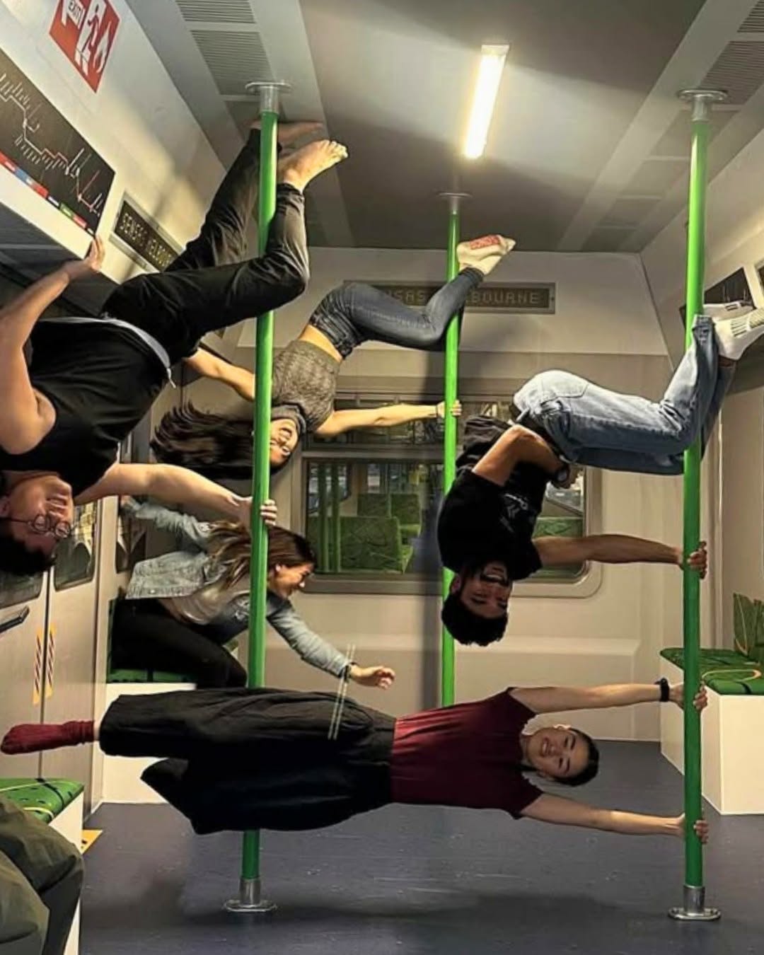 sansas train